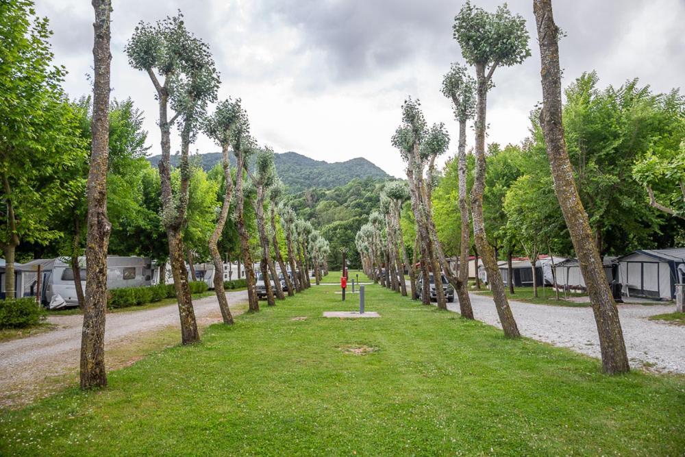 Camping Camping Vall De